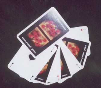 carr� d'as.jpg (19774 octets)